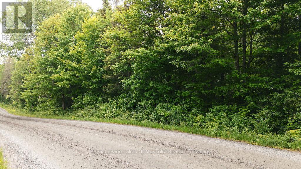 123 Ely Side Road, Armour, ON