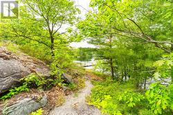 Trail to waters edge -
