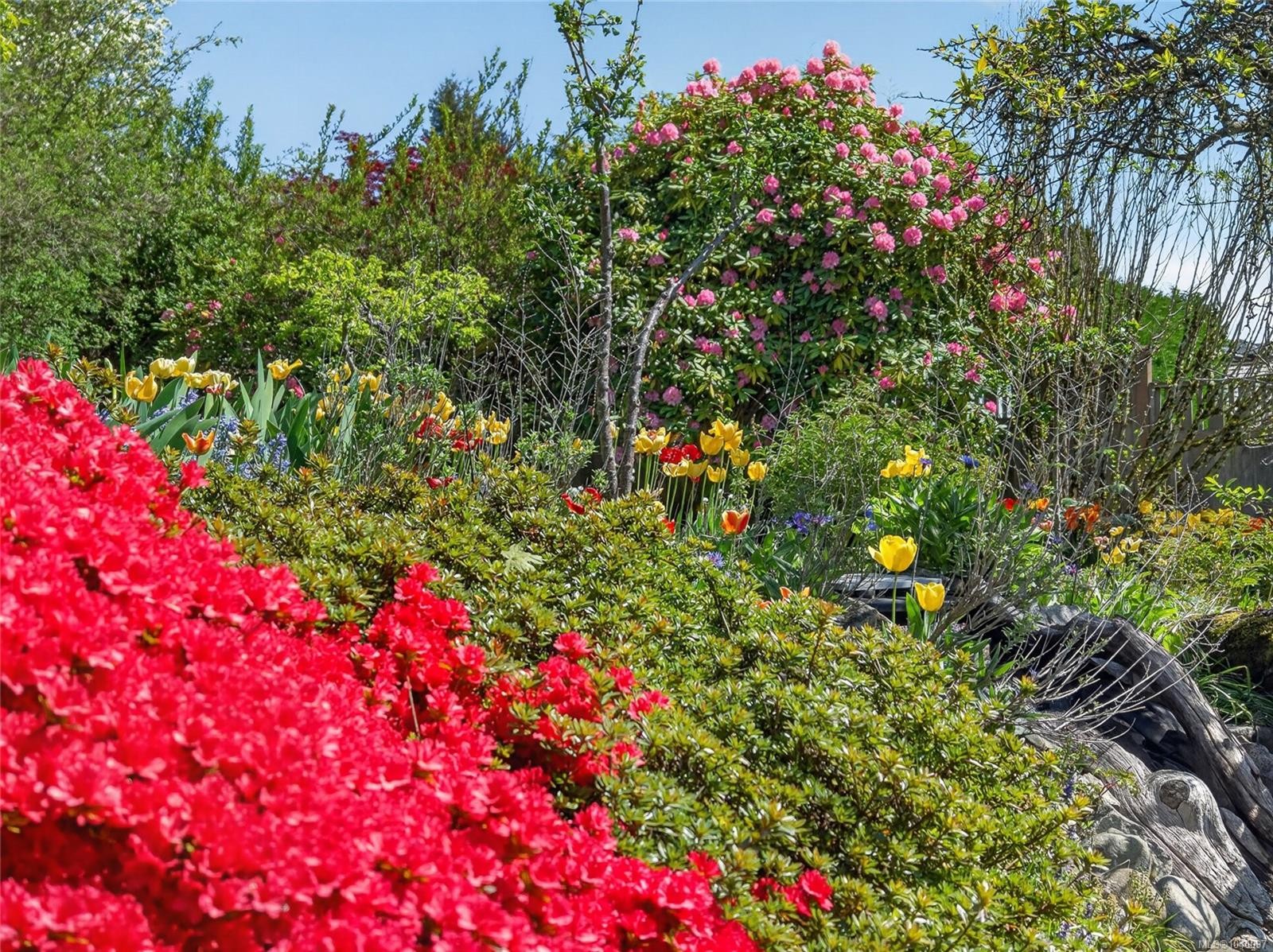 680 View Ave, Courtenay, BC