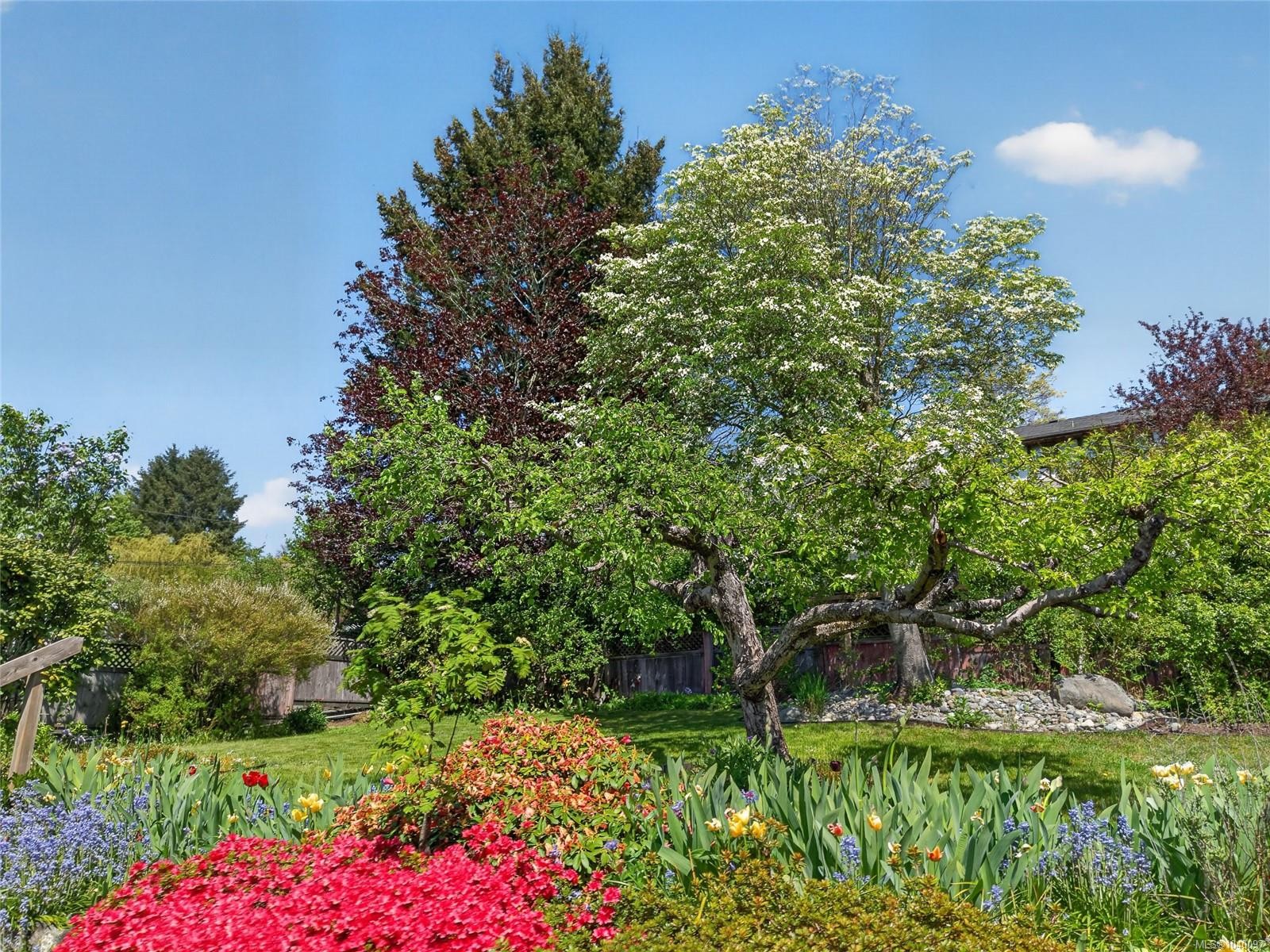 680 View Ave, Courtenay, BC
