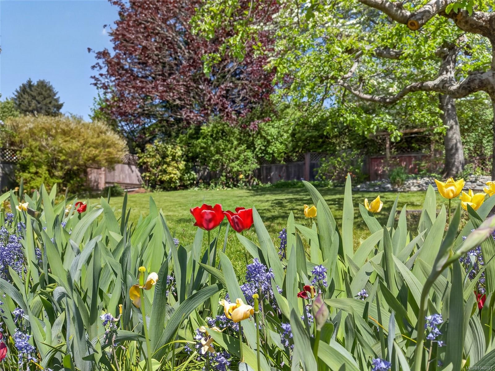 680 View Ave, Courtenay, BC