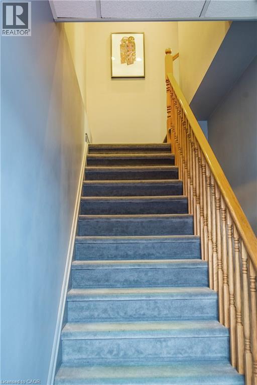 Carpeted staircase featuring a light wood handrail and balusters - 5100 South Service Road, Burlington, ON