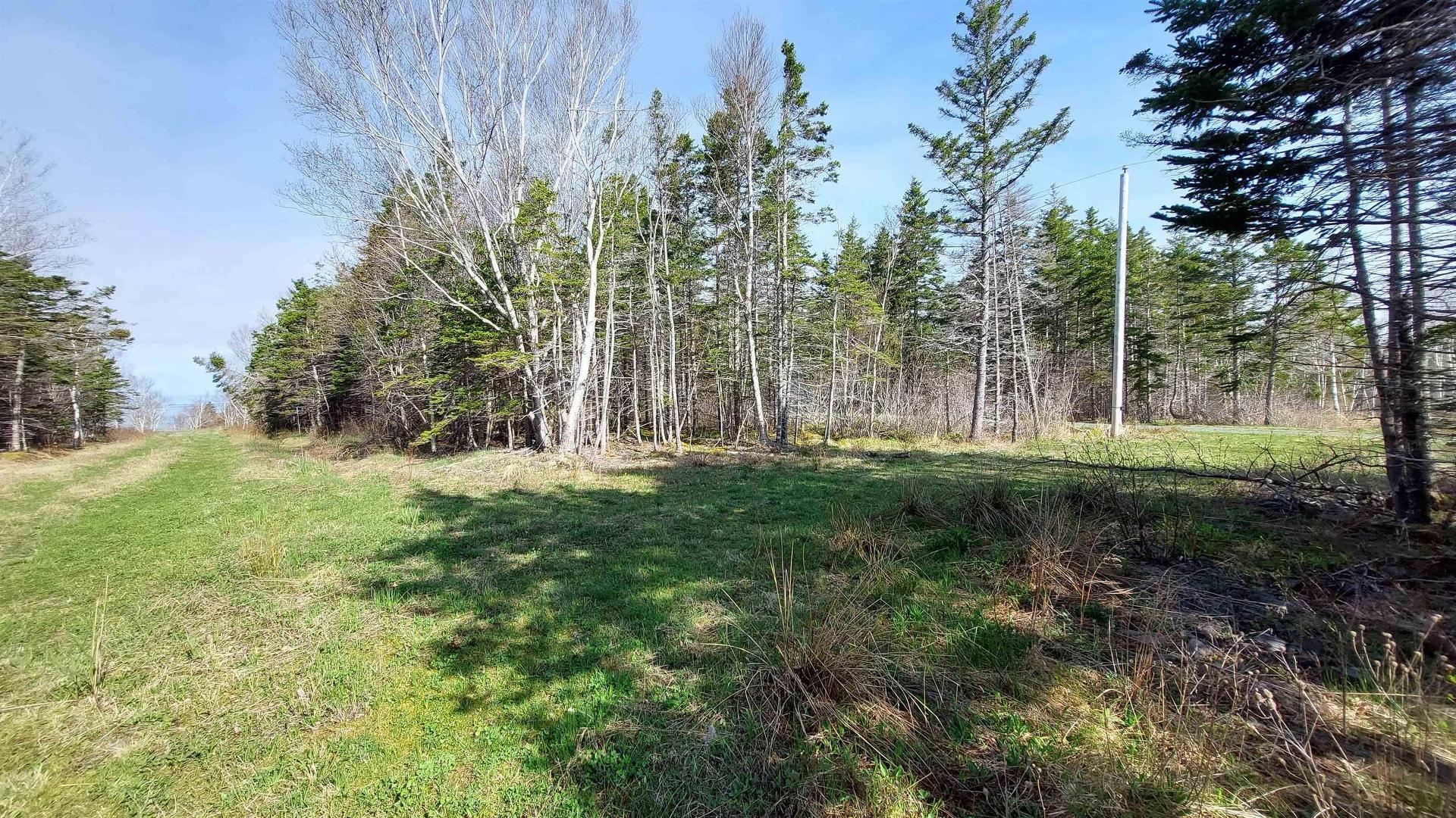 7.3 Acre Highway 4, Red Islands, NS