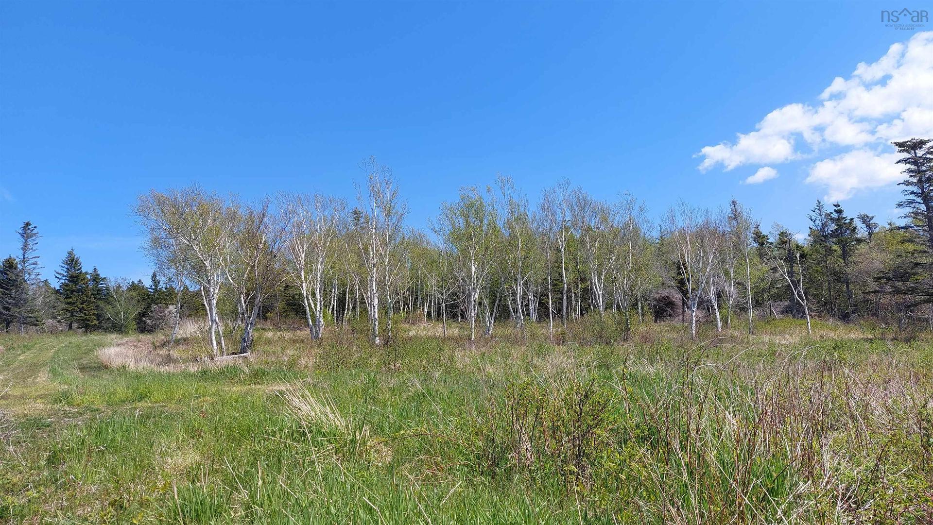 7.3 Acre Highway 4, Red Islands, NS
