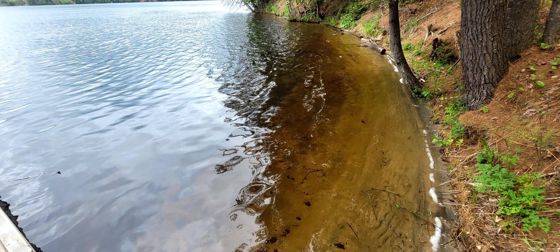 Vue sur l'eau - Ch. Du Sous-Bois, Bowman, QC