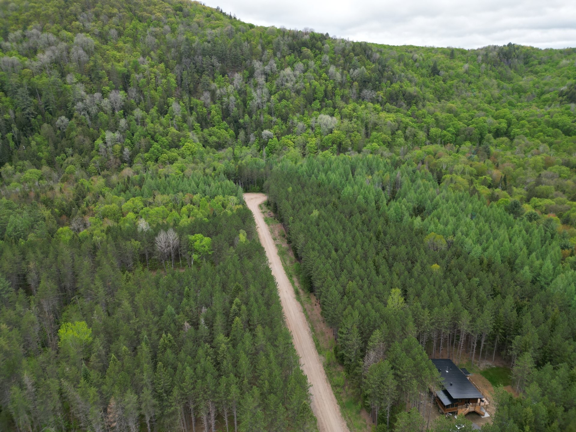 Vue d'ensemble - Ch. Du Sous-Bois, Bowman, QC
