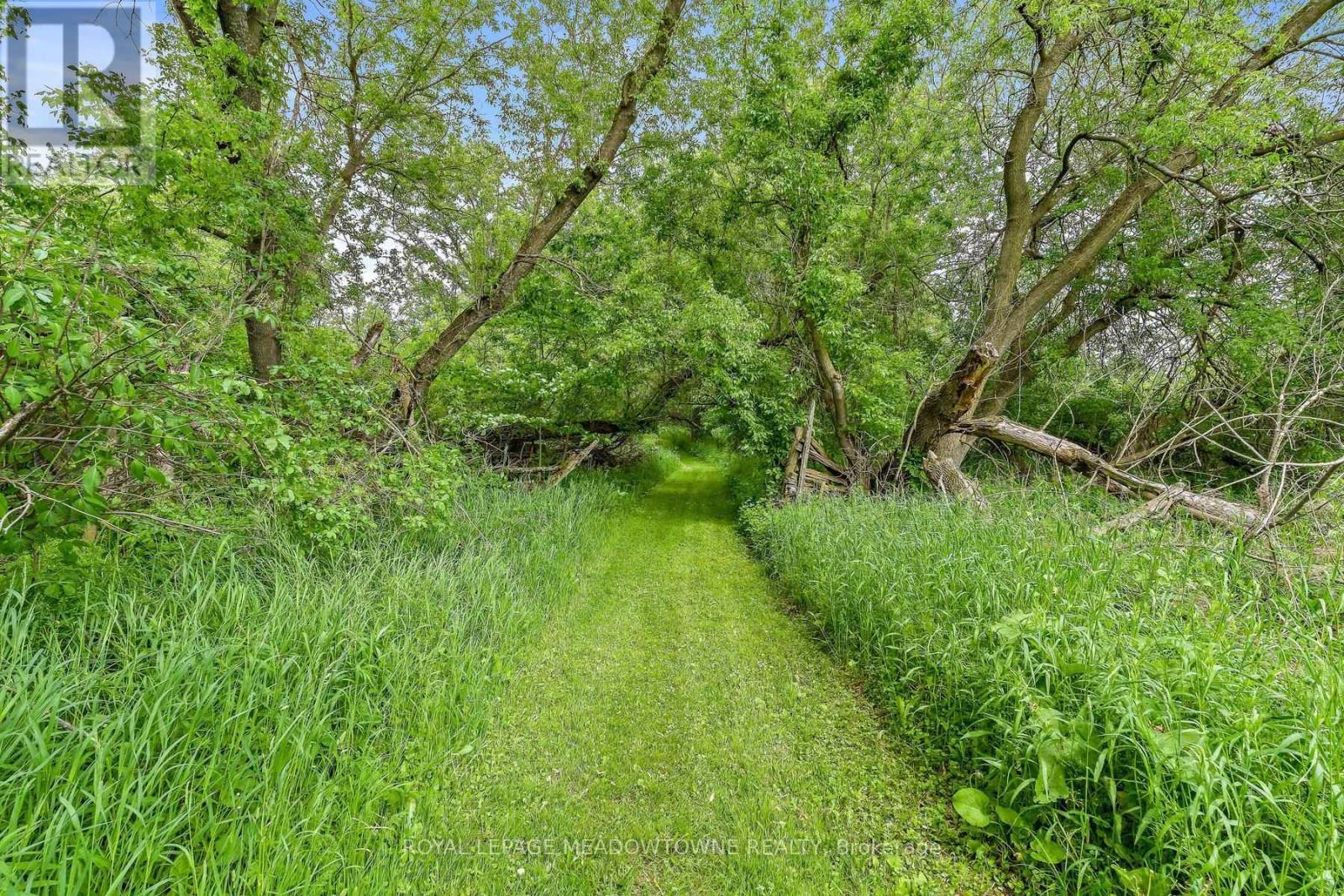 Trails - 954399 7Th Line Ehs, Mono, ON - Outdoor