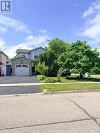 Trees in full bloom -