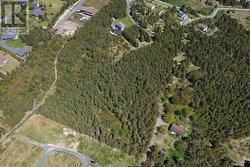 14 Hawco's Lane Chapel's Cove, NL A0A 1V0