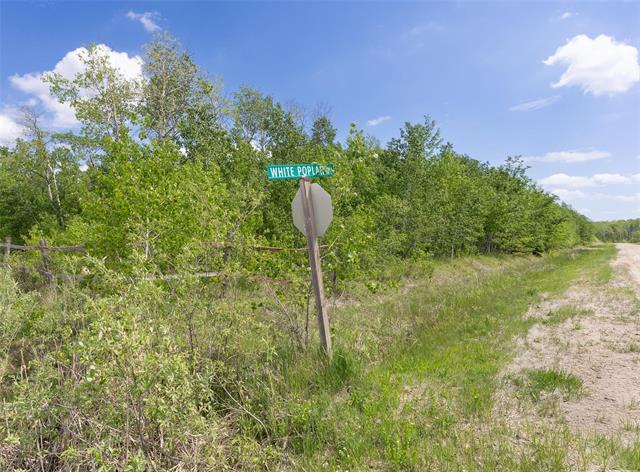 68 White Poplar Rd, La Broquerie, MB