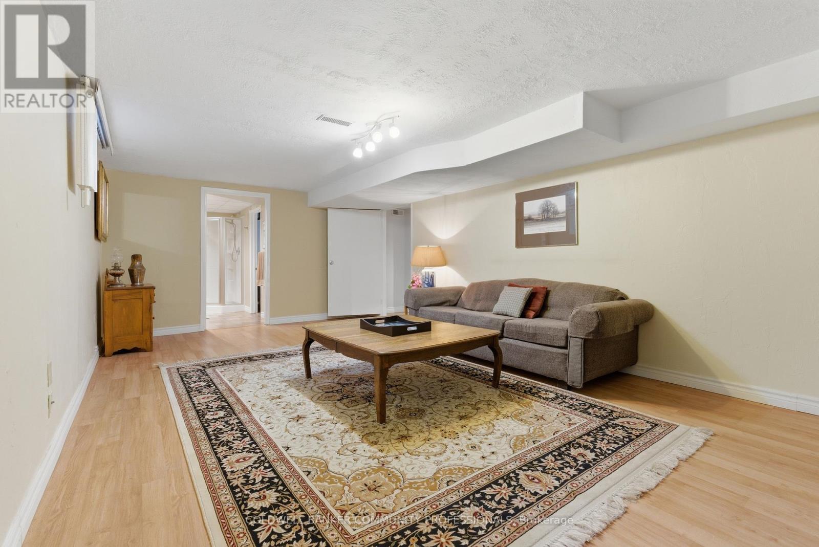 huge lower level rec room - 61 San Pedro Drive, Hamilton, ON