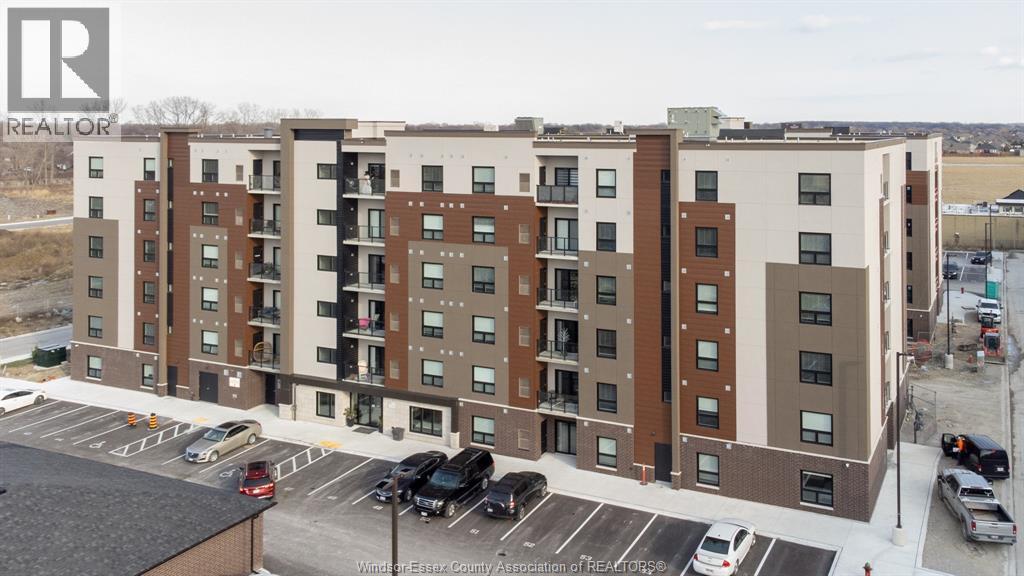 716 Brownstone Unit# 202, Tecumseh, ON