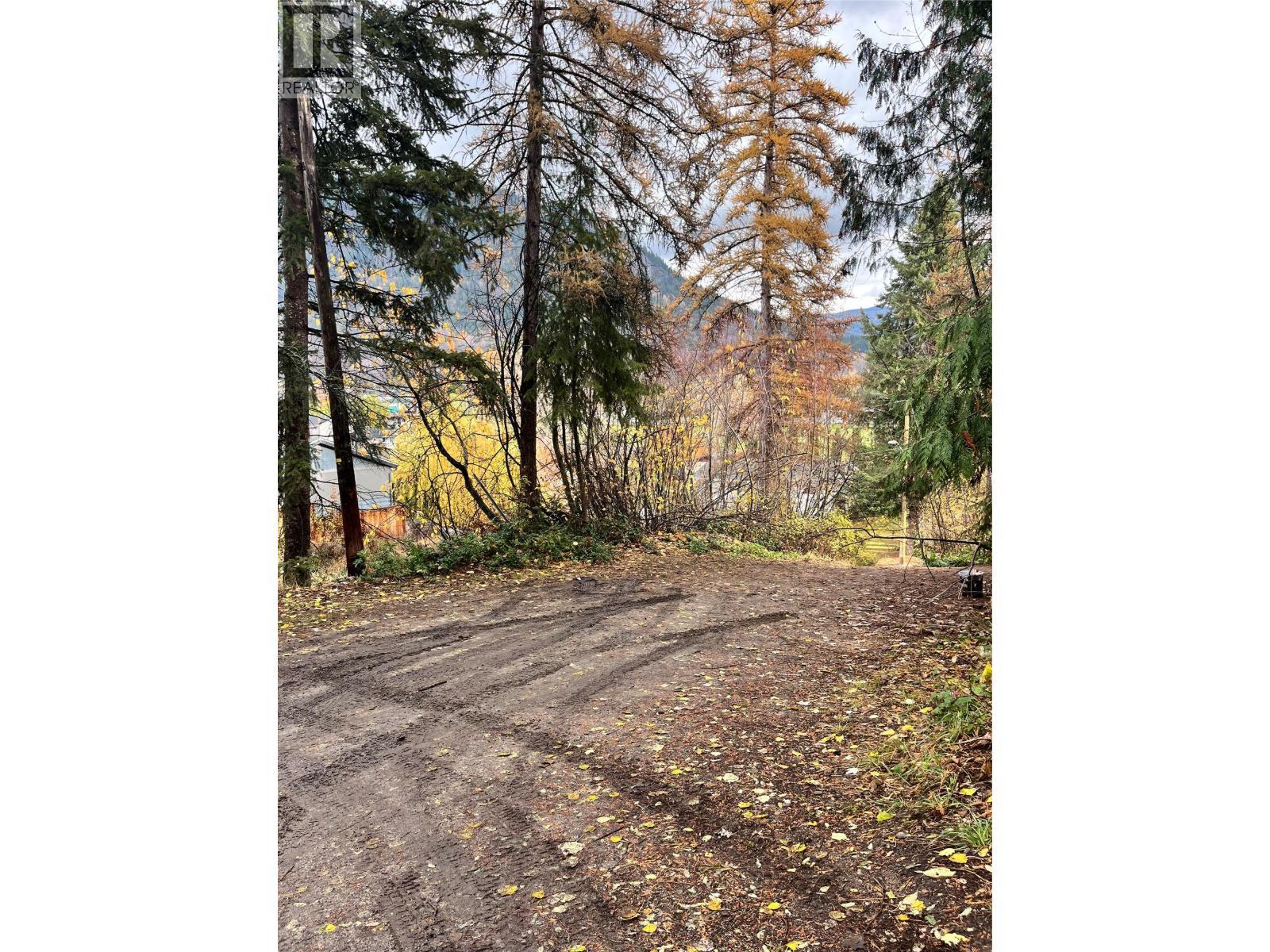 9Th Avenue, Castlegar, BC