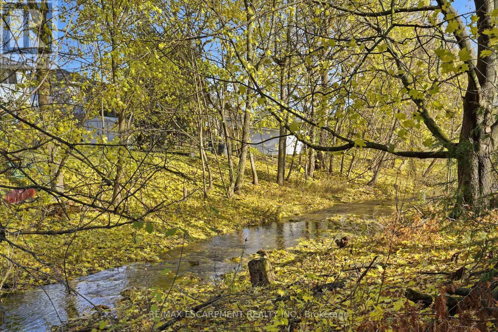 345 Erindale Drive, Burlington, ON - Outdoor With View