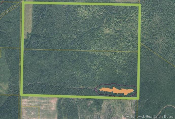 200 Acres Walker Rd, South Tilley, NB