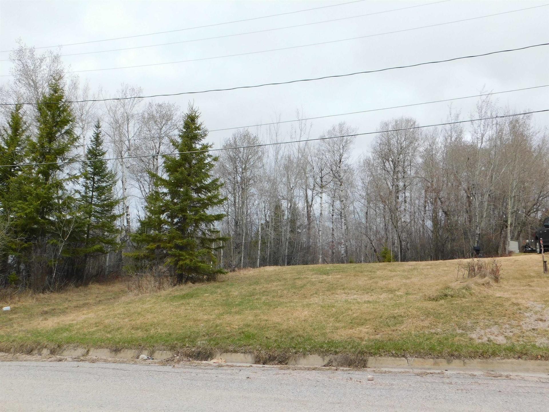 113 Third Street, Dryden, ON