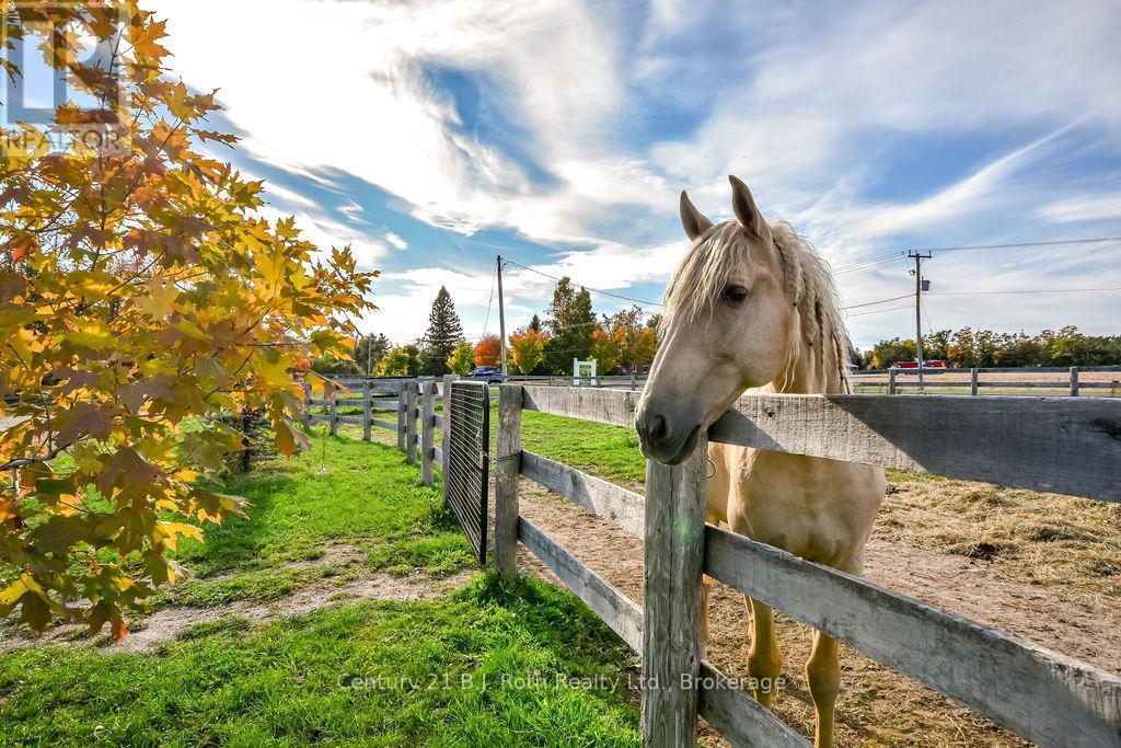 465 Ridge Road E, Oro-Medonte, ON - Outdoor