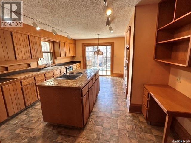 21 Angus Crescent, Regina, SK - Indoor Photo Showing Kitchen With Double Sink
