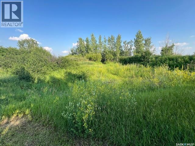 Strunk Acreage, Dundurn Rm No. 314, SK - Outdoor With View