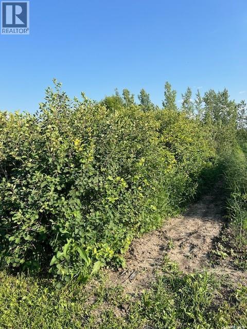 Strunk Acreage, Dundurn Rm No. 314, SK - Outdoor