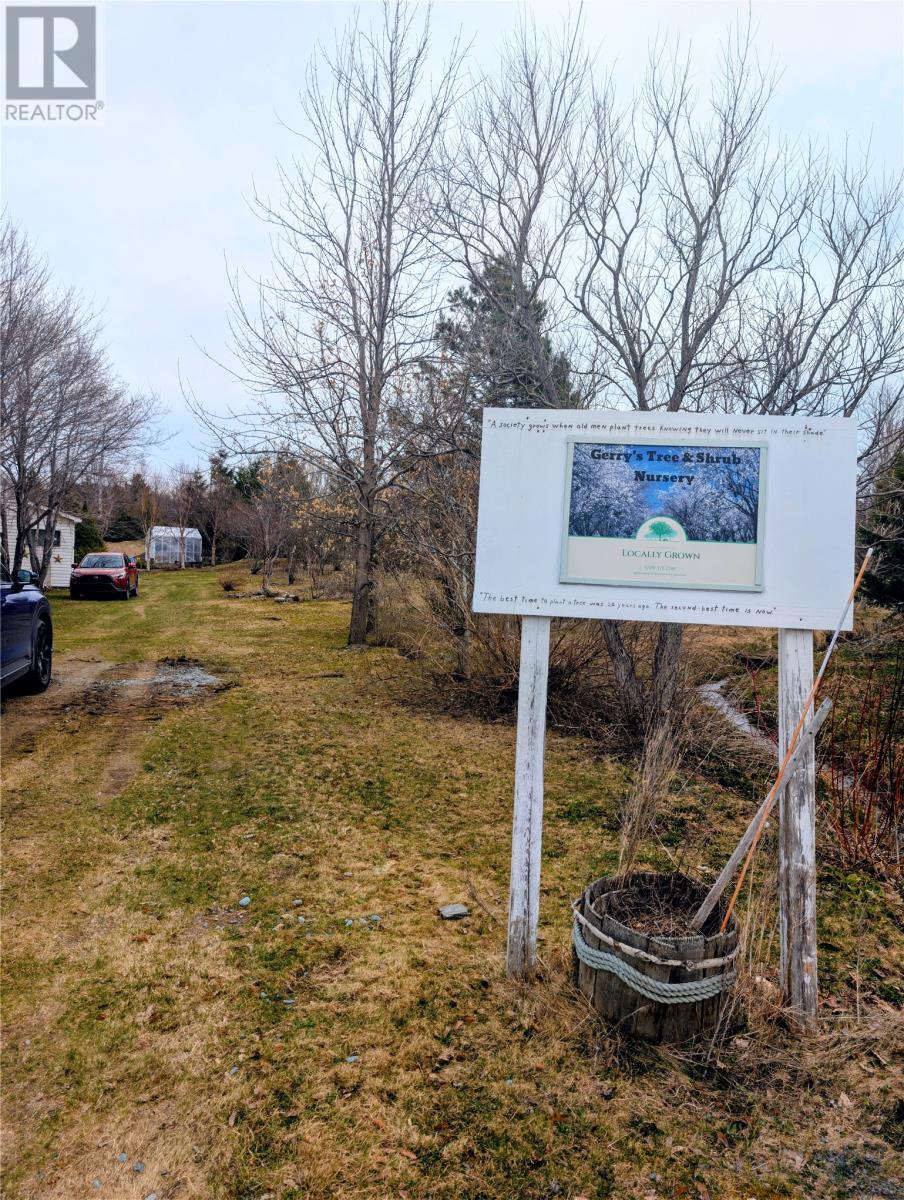 3 Smith'S Lane, Durrell, NL - Outdoor With View