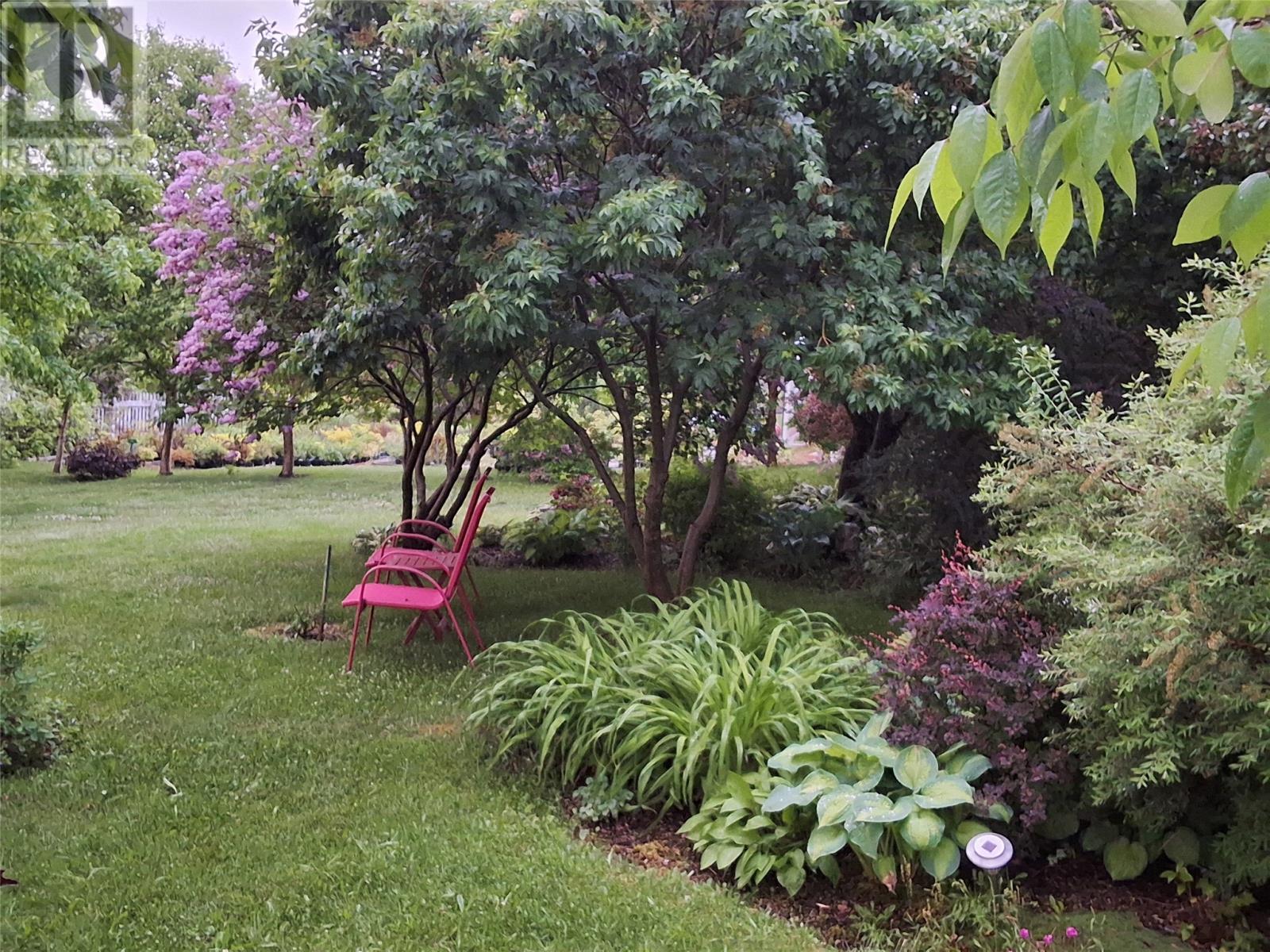 3 Smith'S Lane, Durrell, NL - Outdoor