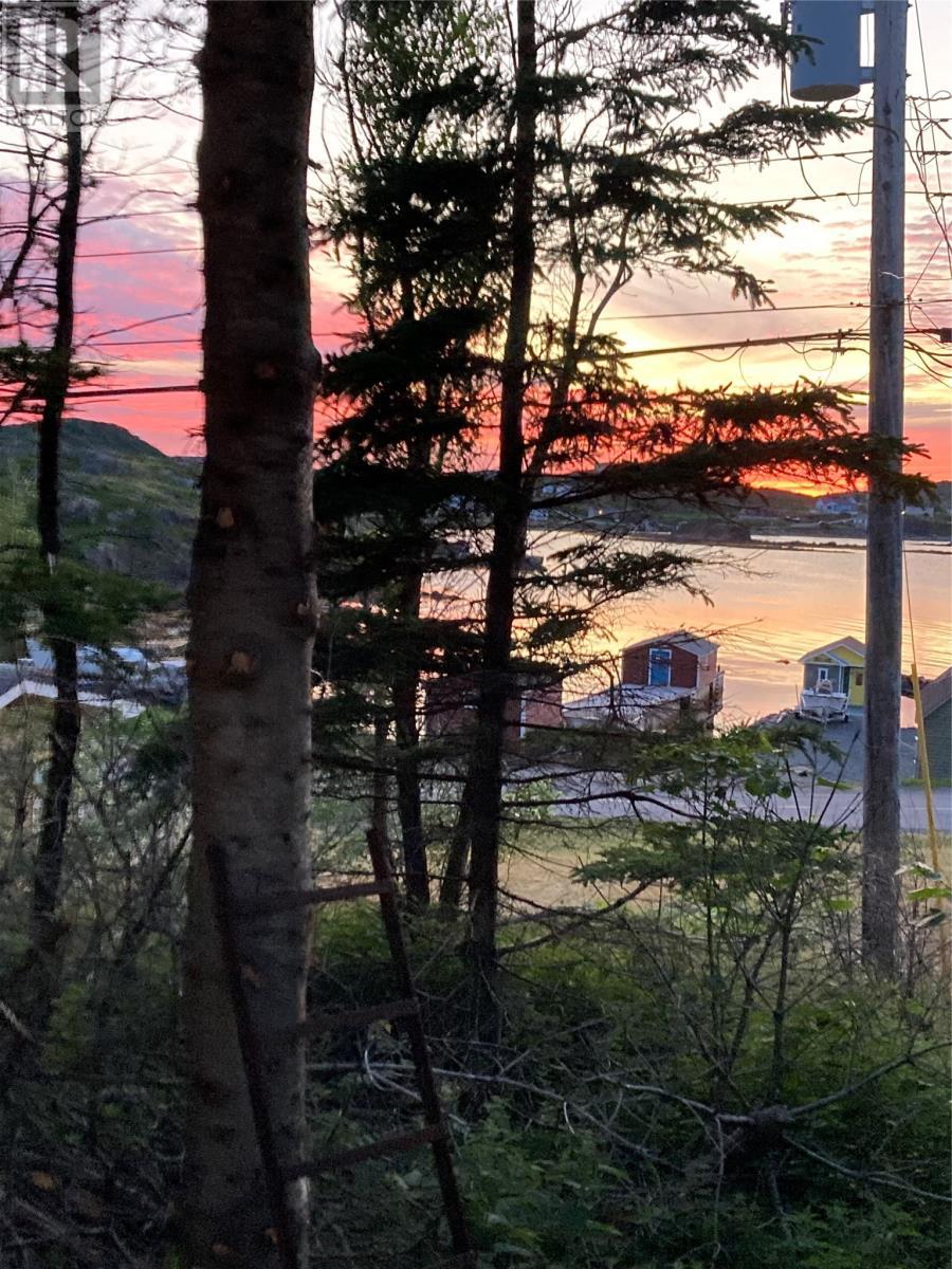 3 Smith'S Lane, Durrell, NL - Outdoor With View