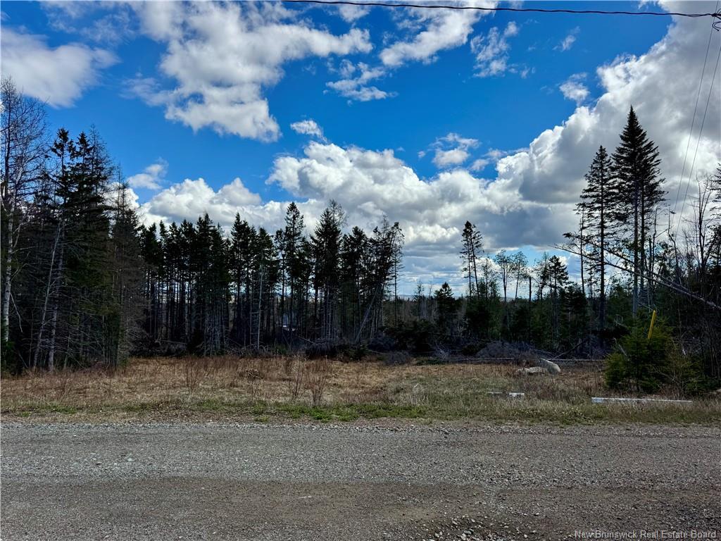 Lot Slopeside Lane, Central Hainesville, NB