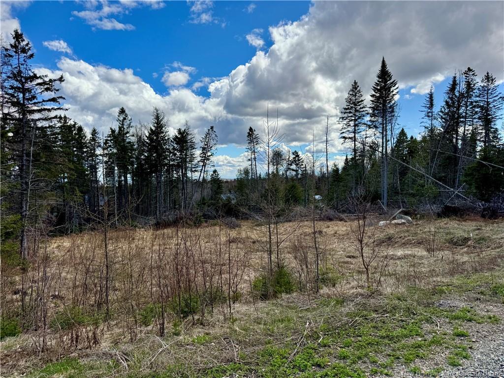 Lot Slopeside Lane, Central Hainesville, NB