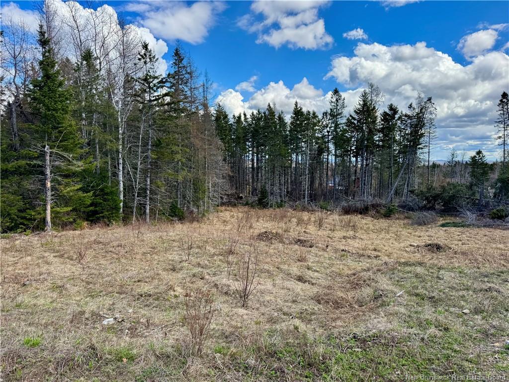 Lot Slopeside Lane, Central Hainesville, NB