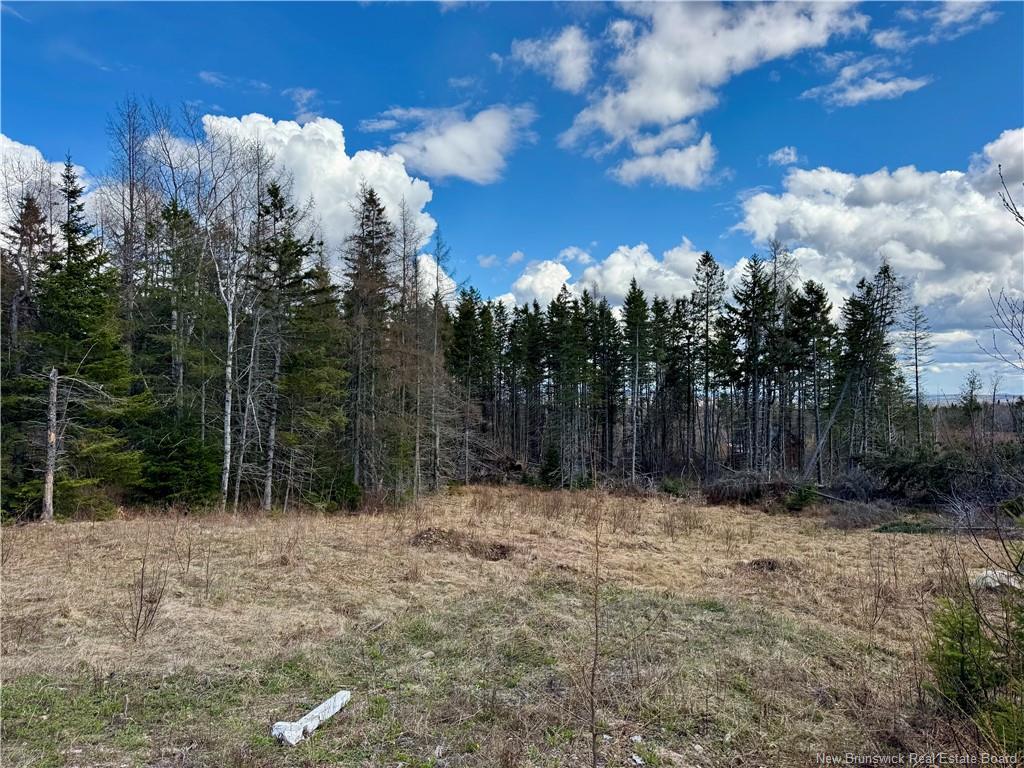 Lot Slopeside Lane, Central Hainesville, NB