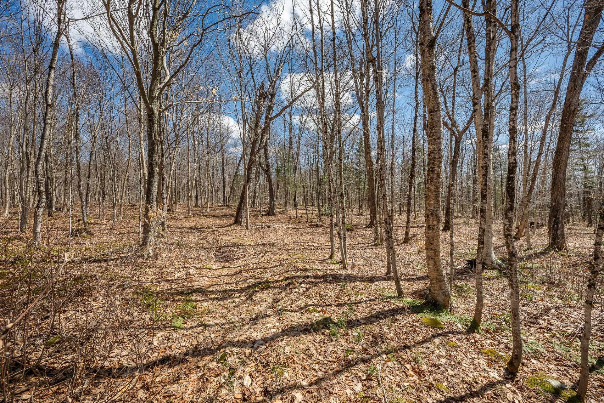Boisé - 965Z Route 275 S., Frampton, QC - Outdoor With View