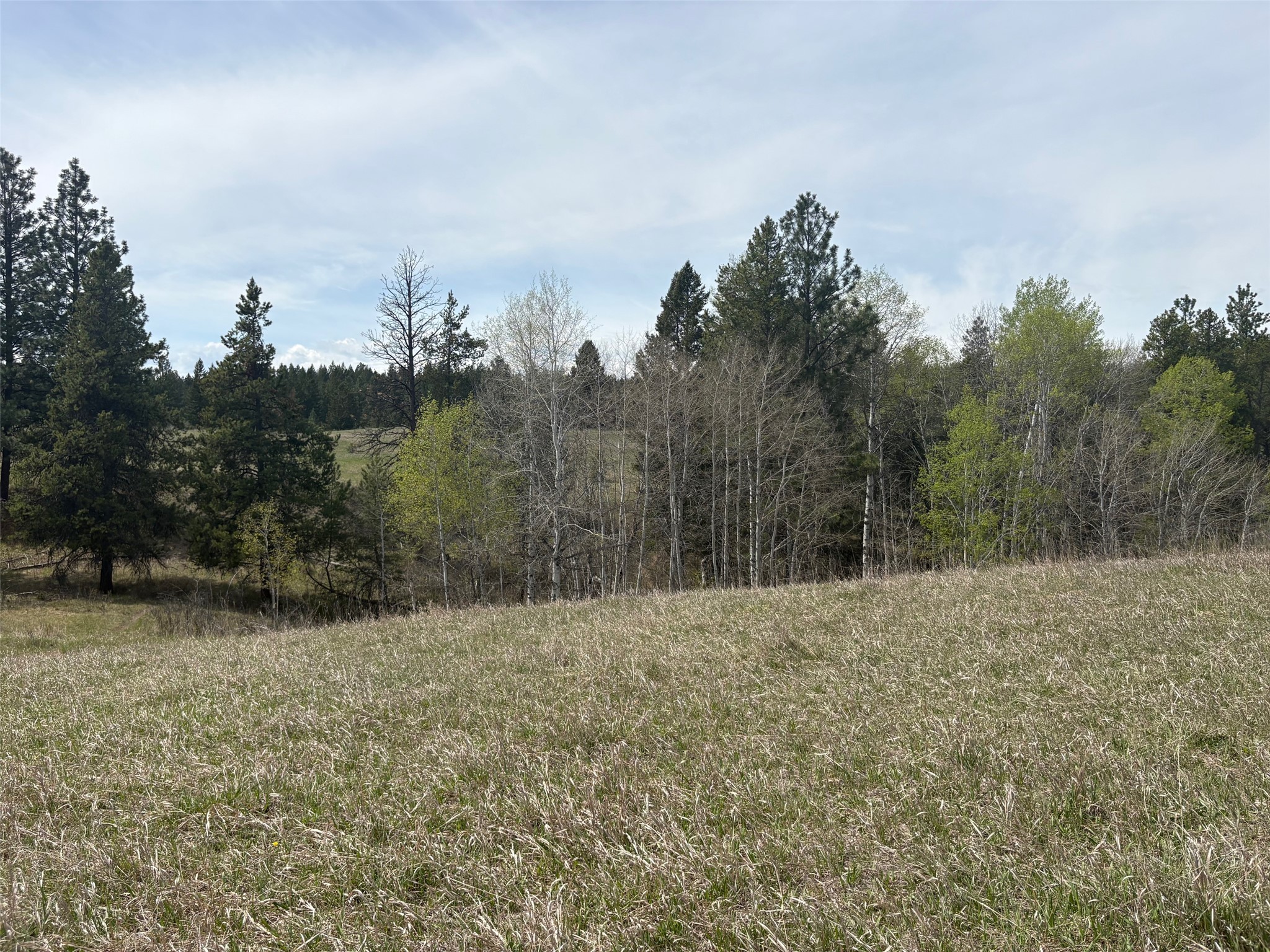 Stanley Road, Ta Ta Creek, BC