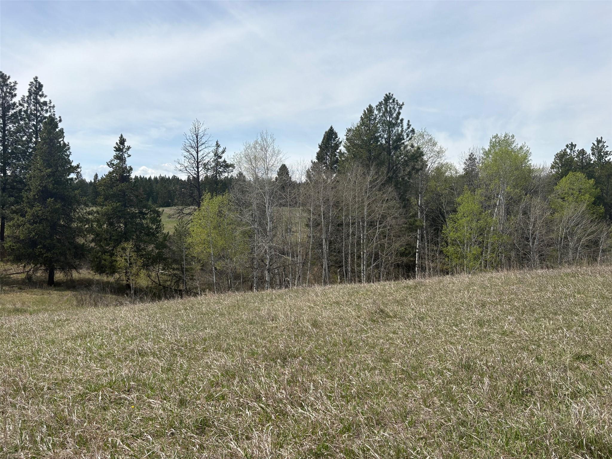 Stanley Road, Ta Ta Creek, BC