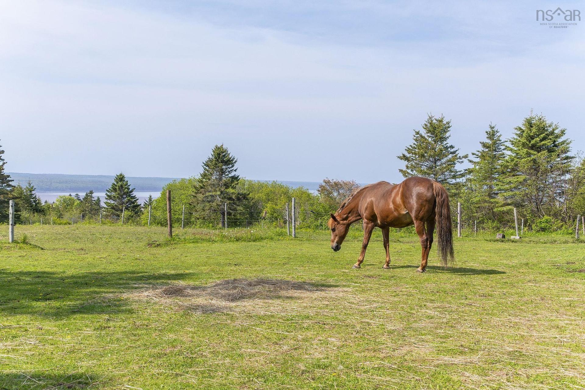 48 Rogers Road, Scots Bay, NS