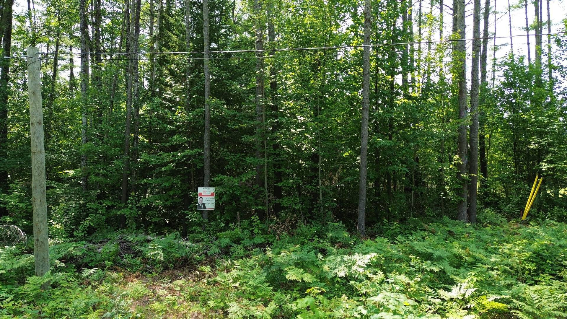 Terre/Terrain - Ch. De L'Opale, Notre-Dame-Du-Laus, QC