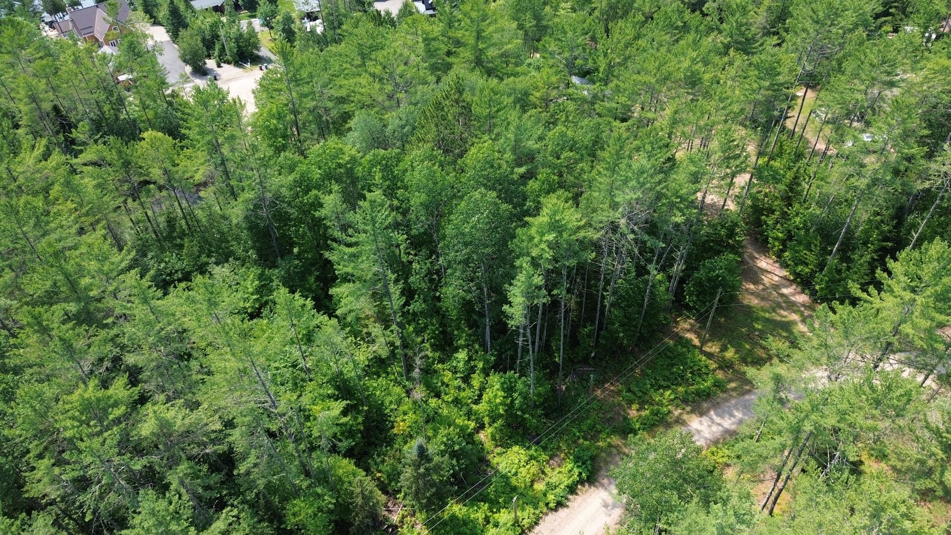 Terre/Terrain - Ch. De L'Opale, Notre-Dame-Du-Laus, QC