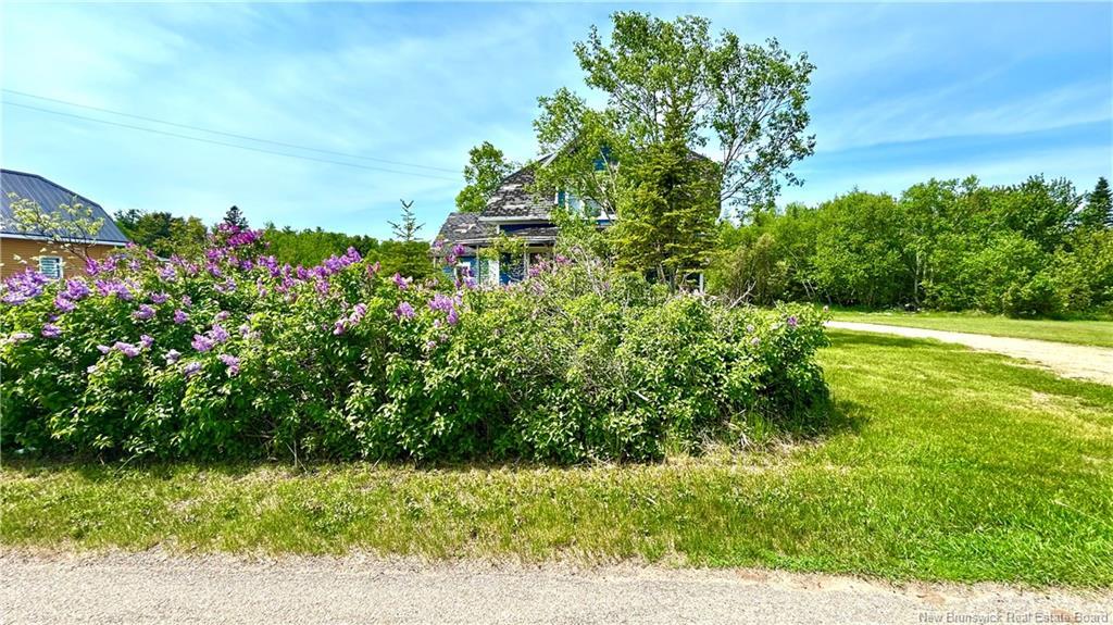 1847 Chatillon, Maisonnette, NB