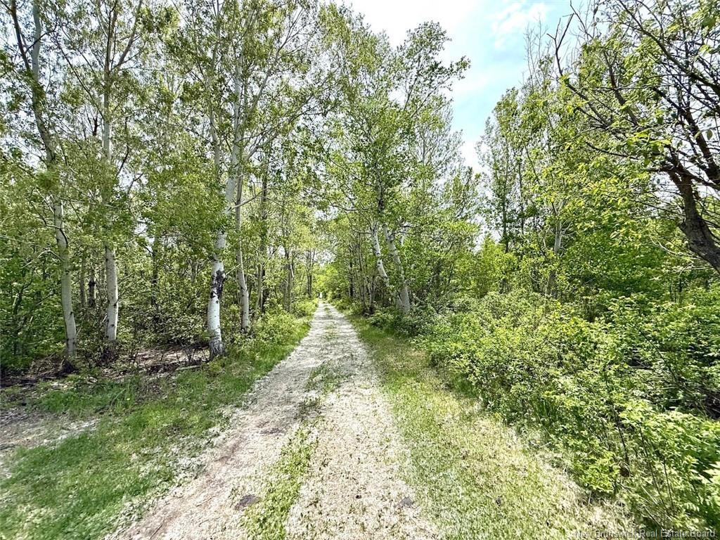 1530 Rue Chatillon, Maisonnette, NB