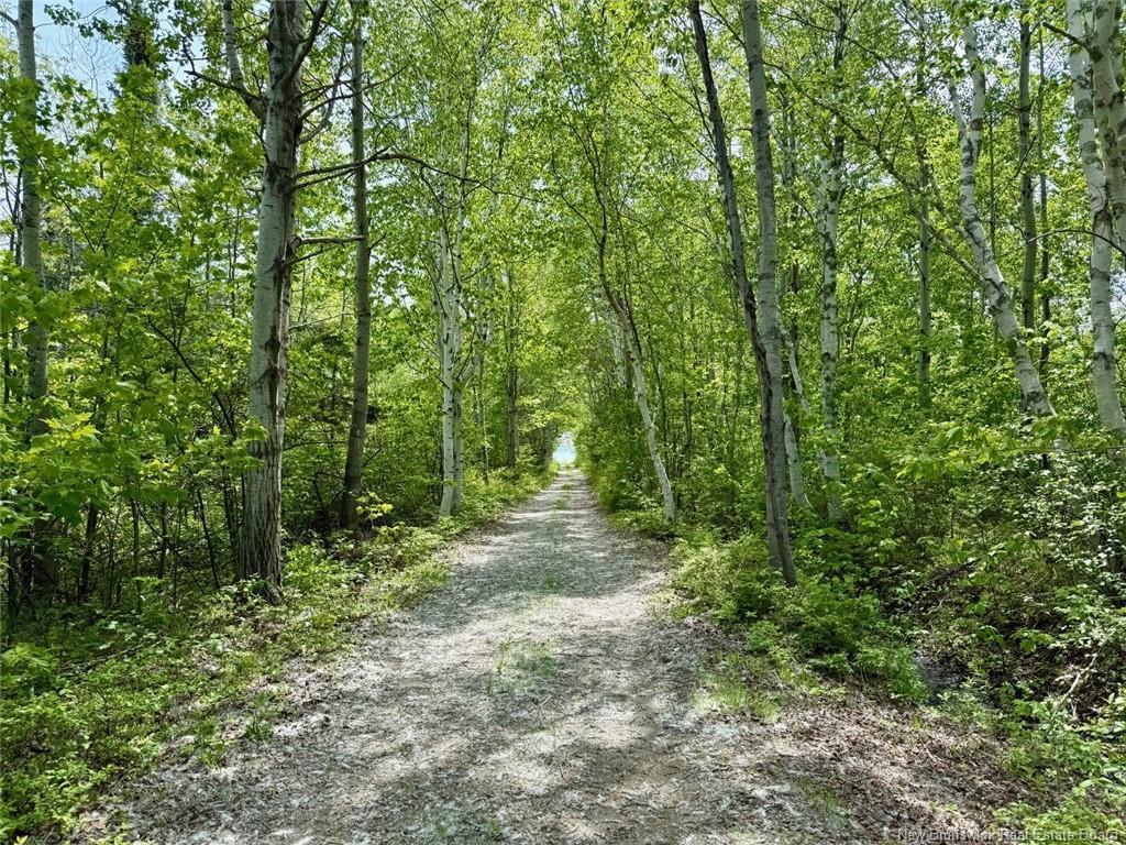 1530 Rue Chatillon, Maisonnette, NB