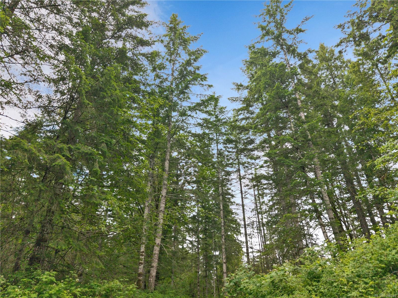 4040 York Rd, Campbell River, BC