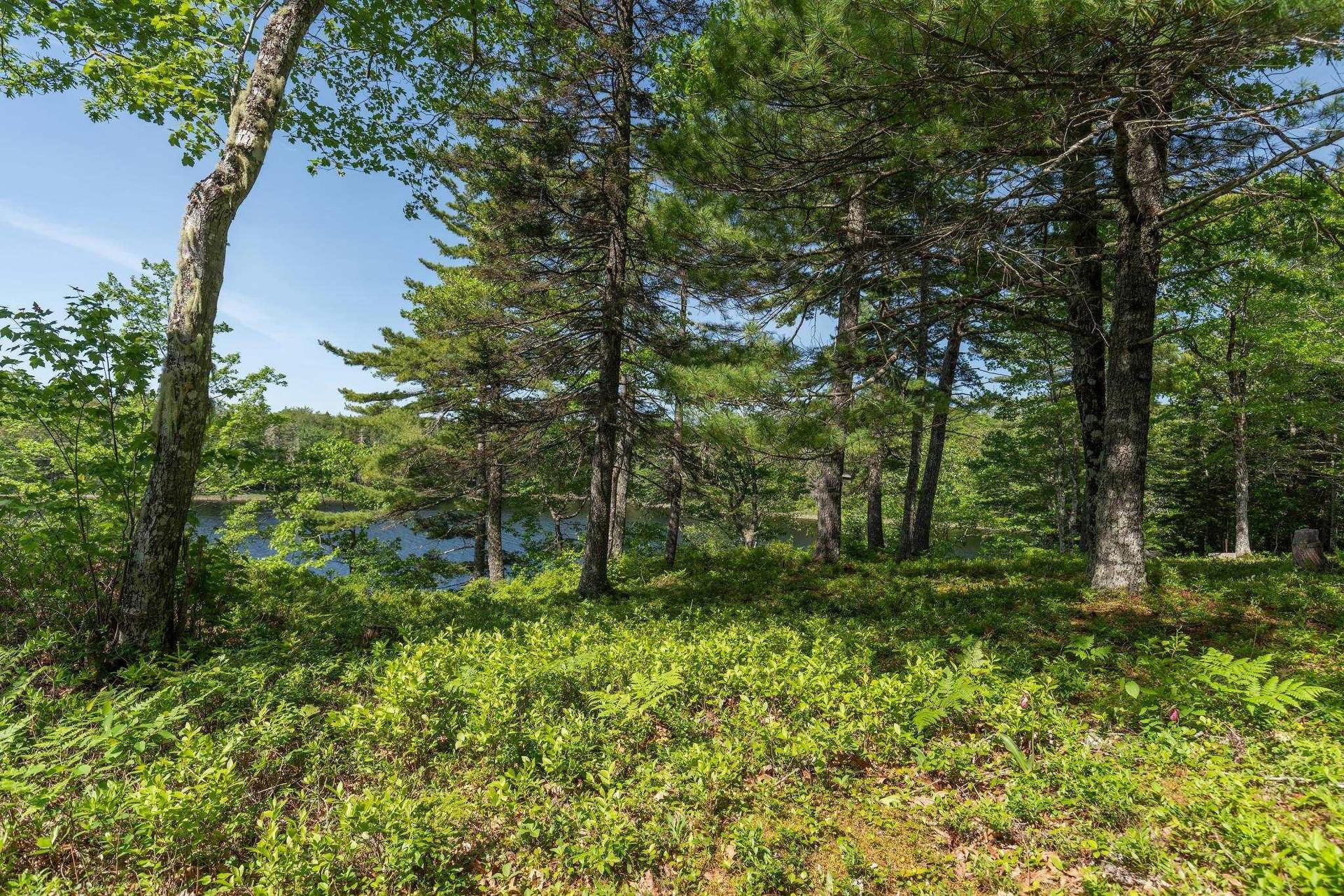 799 Coldstream Road, East Quinan, NS - Outdoor With View