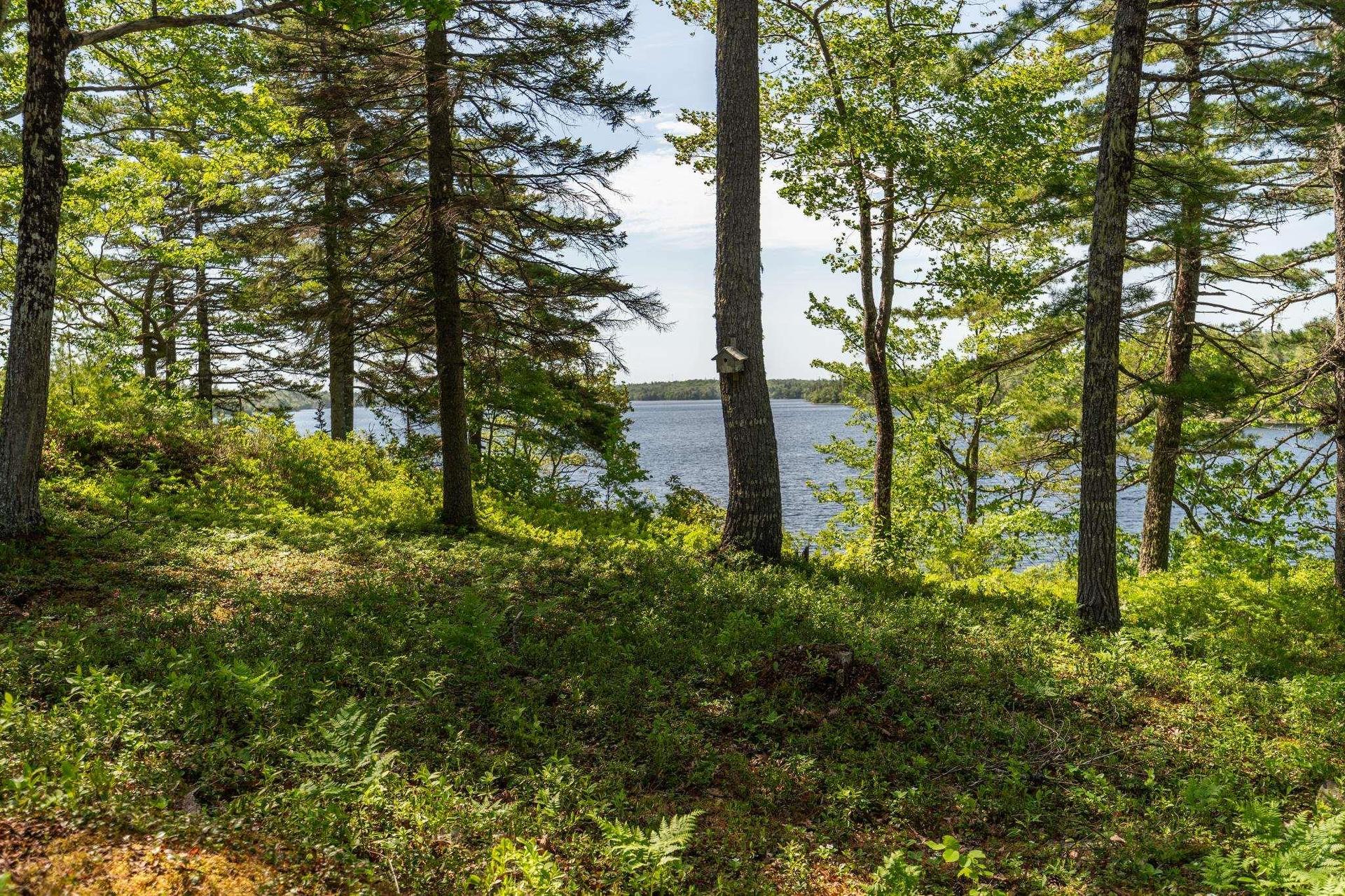 799 Coldstream Road, East Quinan, NS - Outdoor With Body Of Water With View