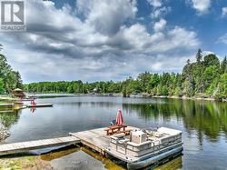 Dock and Pontoon Boat - 