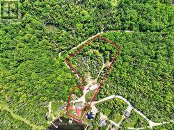 Approximate Lot Lines - 