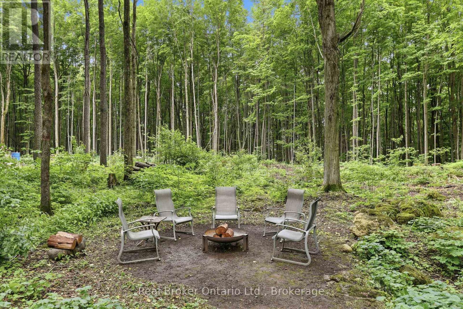Backyard - 805500 25 Side Road, Grey Highlands, ON