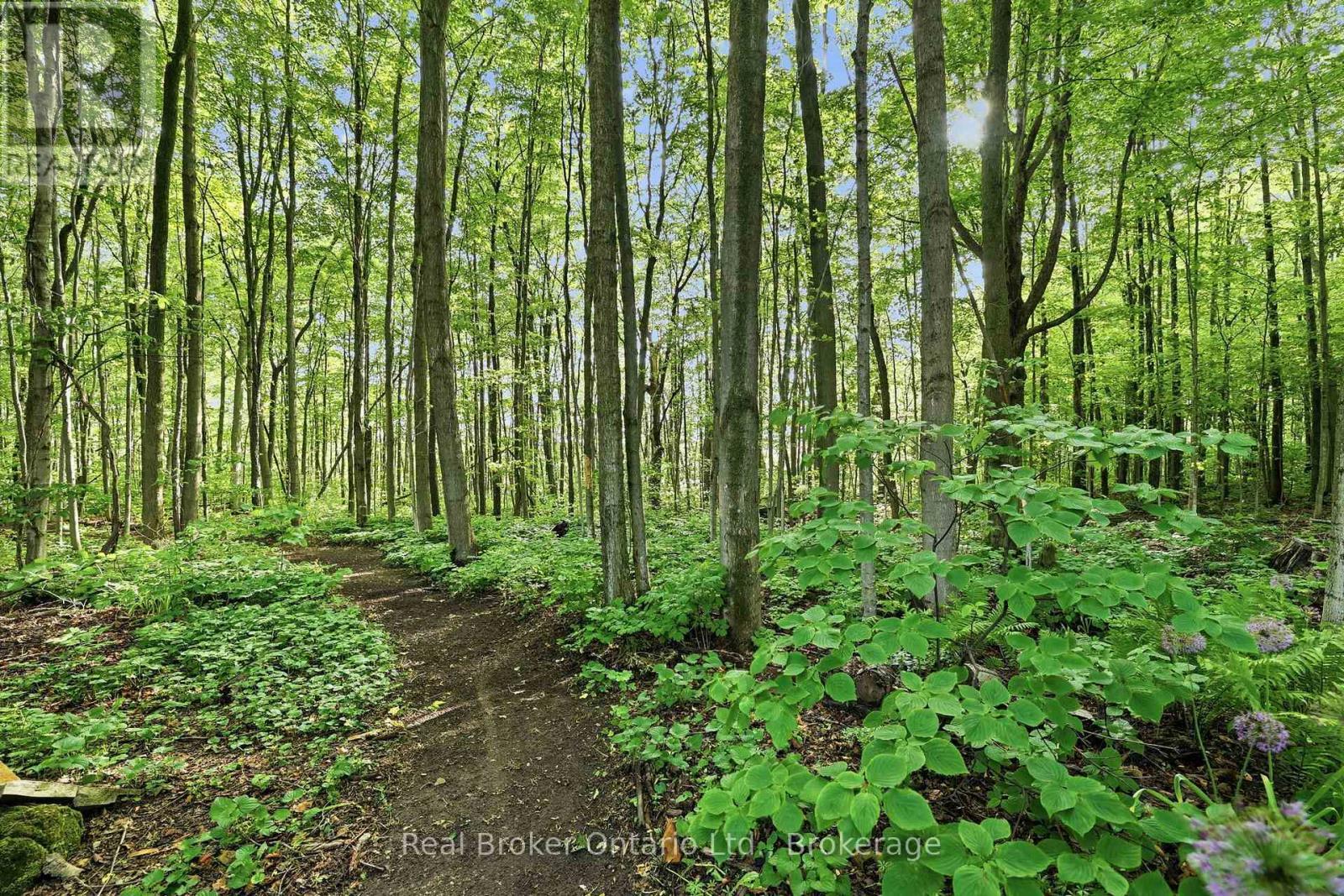 Trail on property - 805500 25 Side Road, Grey Highlands, ON