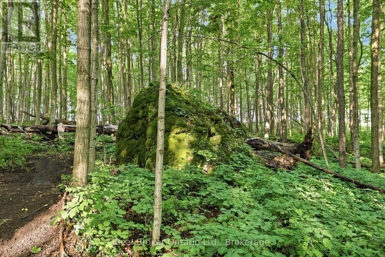 Big Rock on trail - 805500 25 Side Road, Grey Highlands, ON