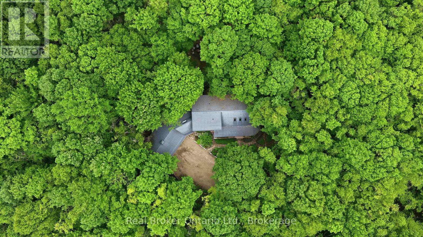Hardwood forest surrounding home - 805500 25 Side Road, Grey Highlands, ON