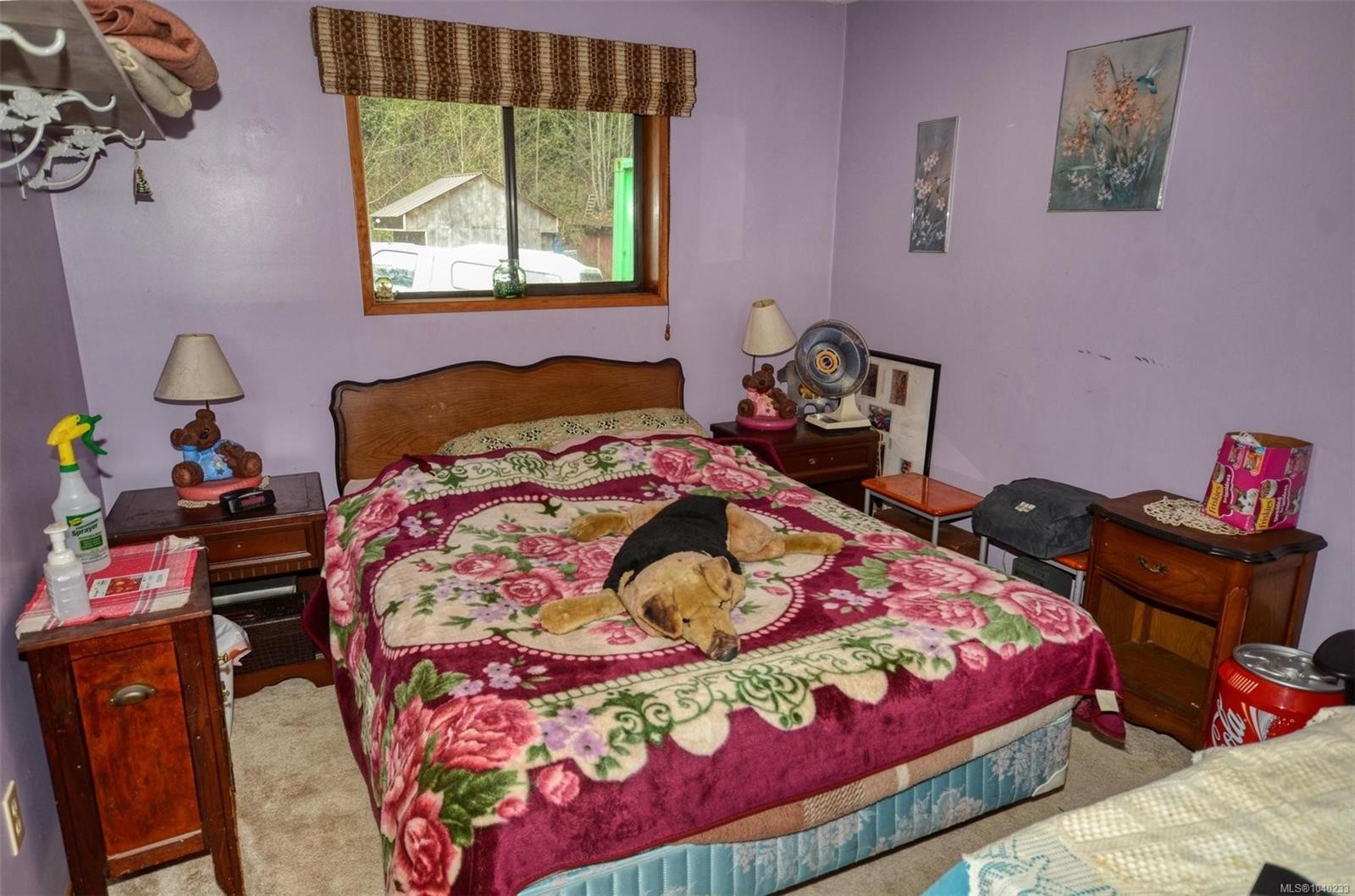 3780 Sooke Rd, Metchosin, BC